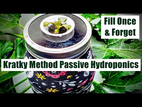 KRATKY METHOD HYDROPONICS  E1 MASON JAR GROW