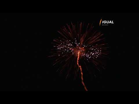 150mm / 6"  SHELL GOLD TO BLUE PEONY WHITE STROBE GOLD TRUNK