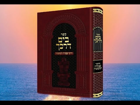 B'Yam Darkecha Avodah L'Maseh (63)  - Happiness Wins Wars - Rav Moshe Weinberger