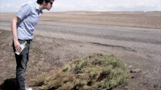 The Unicorns - Jellybones (Music Video)