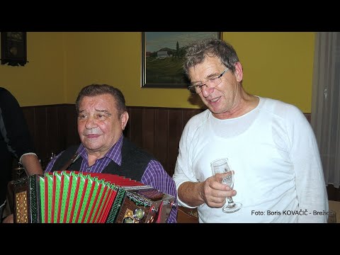Jože Bohorč s prijatelji - Pa spet bom vzel harmoniko (v živo)