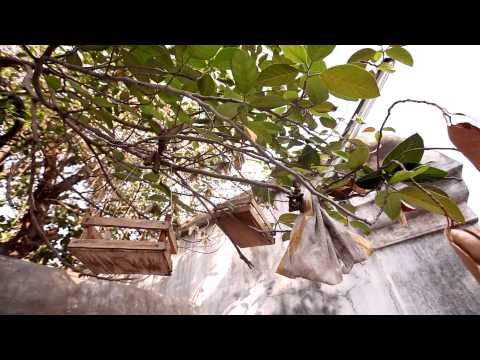 Yeppo Varuvaro | Nithyasree Mahadevan | Gopalakrishna Bharathi | Tamil Devotional Song