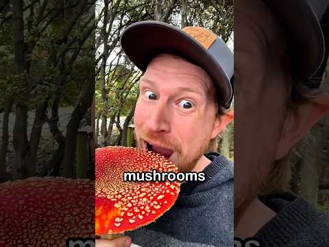Why He Taps Mushrooms Before Picking Them 🍄