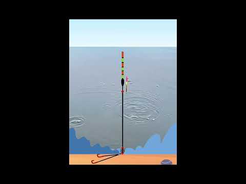 Want to Catch a Bounty with Fresh Corn? Nail These Details!