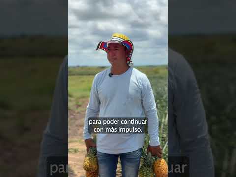 Agencia Nacional de Tierras entregó 715 hectáreas a campesinos del Meta, en Puerto Lleras, Ariari