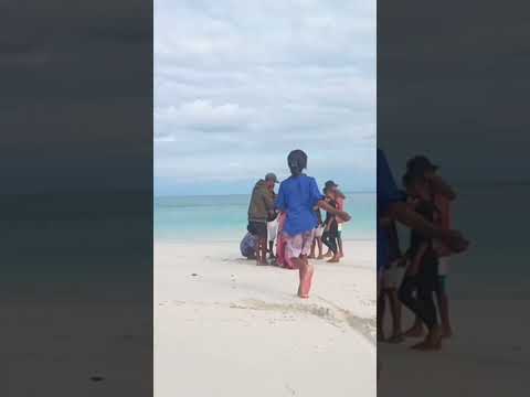 Ling'al Beach Alor Barat Daya #video shorts
