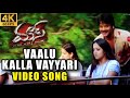 Vaalu Kalla Vayyari 4K Video Song Mass Telugu Movie Nagarjuna Jyothika