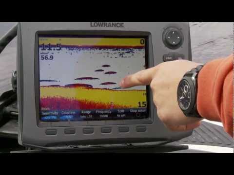 Rapala Scatter Rap Countdown 7cm 7g TR