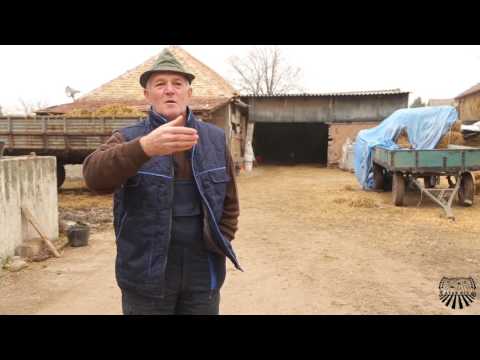 Mlečno govedarstvo Ilandža  Atar013 001