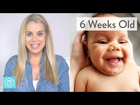6 Weeks Old: What to Expect - Channel Mum