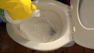 How To Remove Hard Water Stains From Toilet Bowl