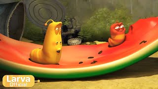 Summer Street Food 🍉 | Food Animation Compilation | Larva TUBA | Official