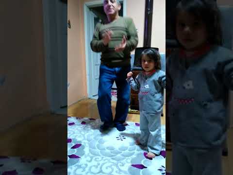 Halo dayı erik dalı