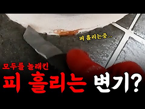 변기가 피를 흘려? 남편이 알면 혼난다고? | 하수구 대마왕????