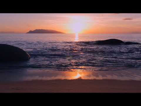 Reflekt featuring Delline Bass - Need To Feel Loved