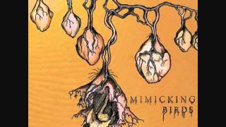 Mimicking Birds - Home and Somewhere Else (cover)