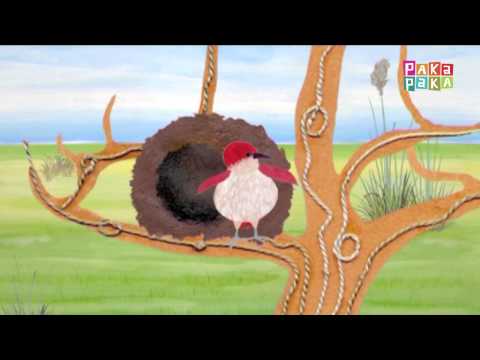 Animapaka I: Ñandú (Cap. 2) - Canal Pakapaka