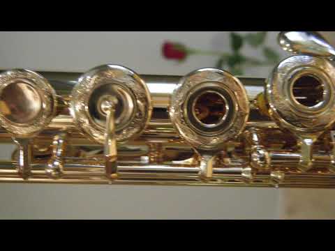 @ionbogdanstefanescu  Telemann - Sonata for two flutes IV