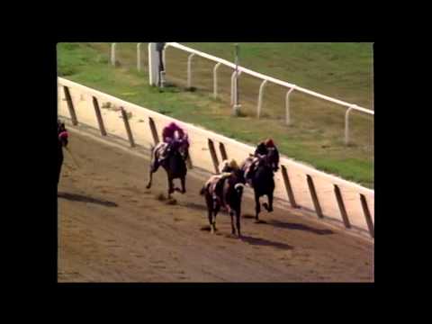 Sky Beauty - 1993 Coaching Club American Oaks (G1)