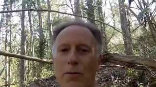 Syrian Boy Who Drowned