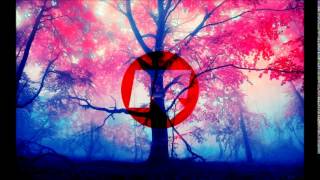 Duck Sauce - Spandex (Big Dope P Remix) - RINSE FM RADIO RIP