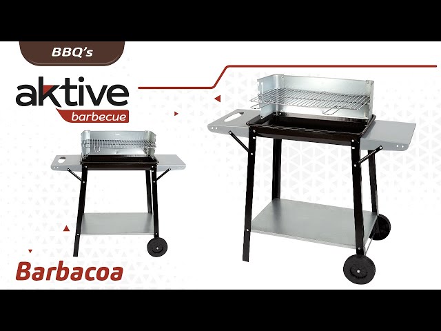 Vídeo relacionado con Aktive 52973 - Barbacoa carbón y leña 90x32x85 cm con control de temperatura y dos mangos extraíbles, 4 alturas regulables, 2 ruedas y asa de transporte, Fácil y rápida de montar