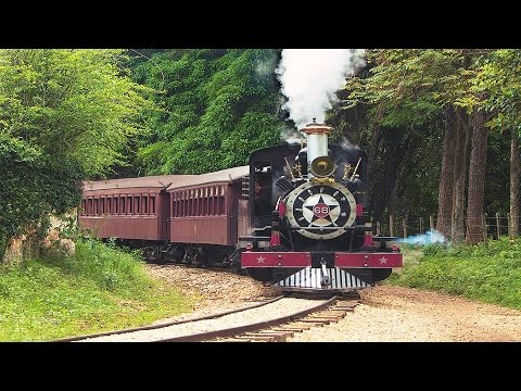 Zimbro "apita o comboio"