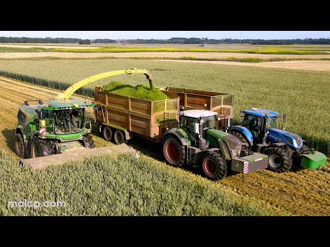4k Whole cropping rye with a John Deere 9800i forager and Fendt, JD, JCB and New Holland tractors.