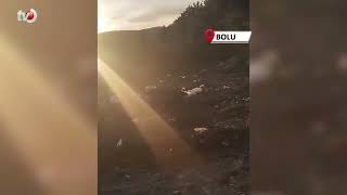 Vatandaşların Kirlettiği Ormanlık Alanı Muhtar Temizledi