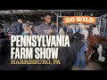 GO WILD with DiscoverNEPA: Pennsylvania Farm Show | Harrisburg, PA