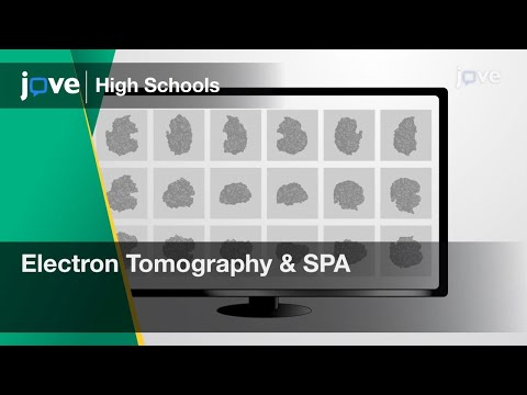 Electron Microscope Tomography and Single-particle Reconstruction | Cell Bio | Video - Preview