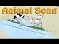 Animal Song The Dirty Sock Funtime Band