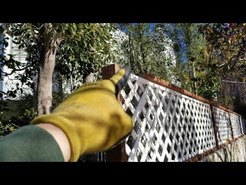 Tips when installing your Lattice | Landscaping