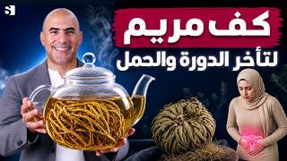 عشبة كف مريم العجيبة لتنظيم الدورة: تأخر الحمل وتكيس المبايض | 3 اخطاء شائعة