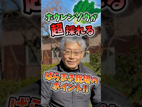 春の息吹を感じる3月に庭で何をしましょうか？ 2月の準備の後、3月に何を植え、種をまき、収穫するでしょうか？  庭園