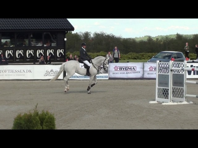 Mother is half-sister of the Grand Prix 1.60m stallion Ci Ci Senjor ASK with rider Soren Moeller Rohde.