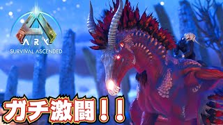 【激闘ッ！】爆速ドレッド・メアをガチンコでテイムッ！！【ARK/ASA】