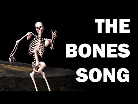 SKELETON BONES SONG - LEARN IN 3 MINUTES!!!