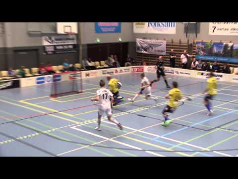 Maalikooste Tor Blue Fox 01.11.2014