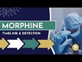How long does Morphine stay in your system?  #Drugtest #Urinetest #BloodTest #HairTest