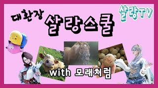 [살랑TV]저세상 드벤크룬 일퀘,야생마 조련하기 !!!