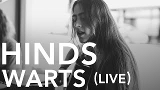 Hinds - Warts (Pile TV Live Sessions)