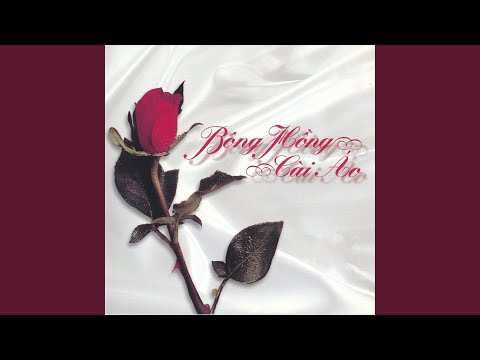 Umdambara (Ưu Đàm Hoa) - Thanh Lan