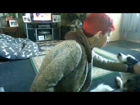 The CALM and SETTLE commands