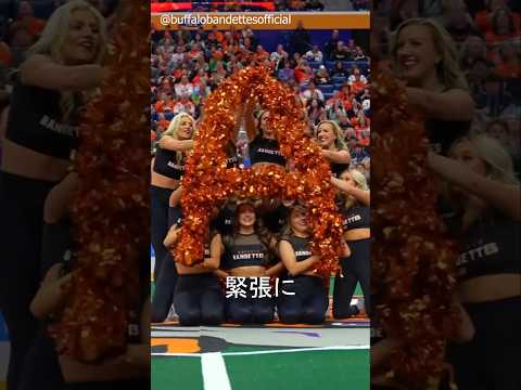 彼らは何を見せたのですか？