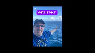 CRUISE SHIP BLOWS HORN AT UNKNOWN VESSEL