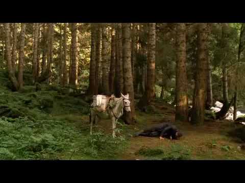 Trailer - Bal 2010 - Honey (Germany) (festival title)