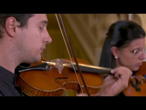 Hugo Wolf - Italian Serenade. Quartetto Guadagnini