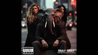 2. R&B HSP - Ricky Ricky