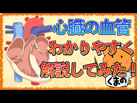 ルメックス静脈の花序苞の拡大図